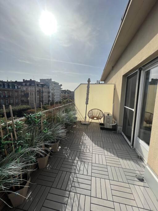 Appartement Cosy Orangerie Strasbourg Eksteriør bilde