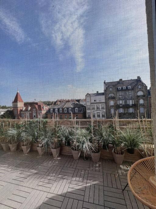 Appartement Cosy Orangerie Strasbourg Eksteriør bilde